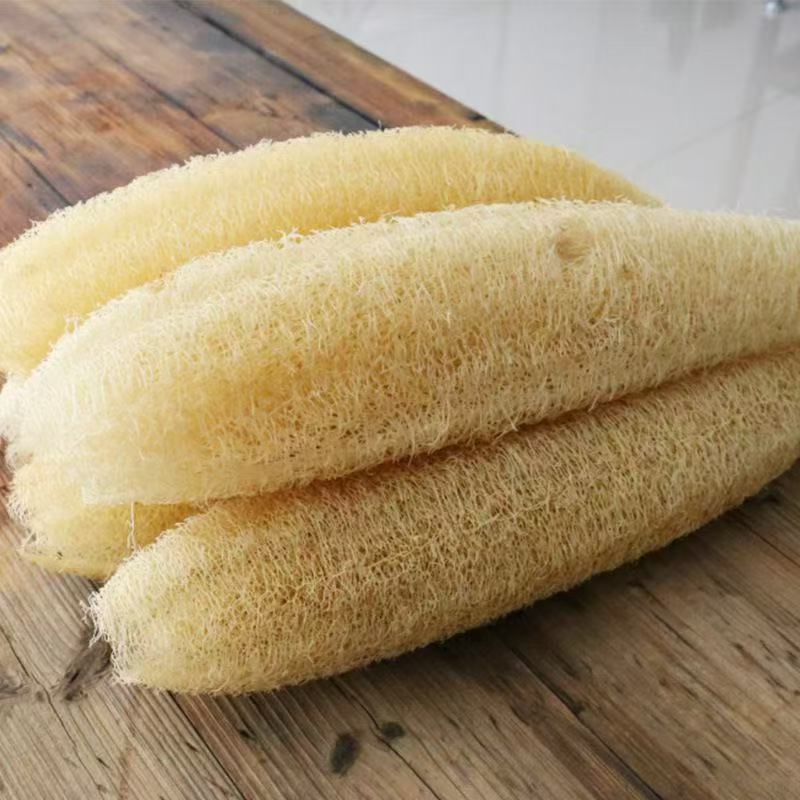 Pure natural loofah can be used to wash dishes, wash pots, and wash and scrub the back.