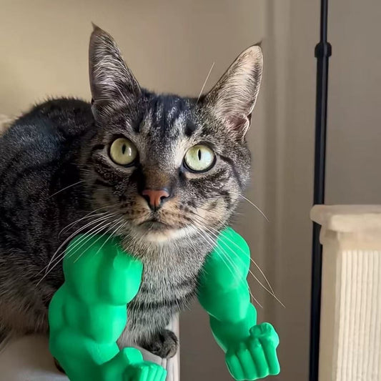 Pet toy cat arm 3D printing hot style funny and weird neck hanging