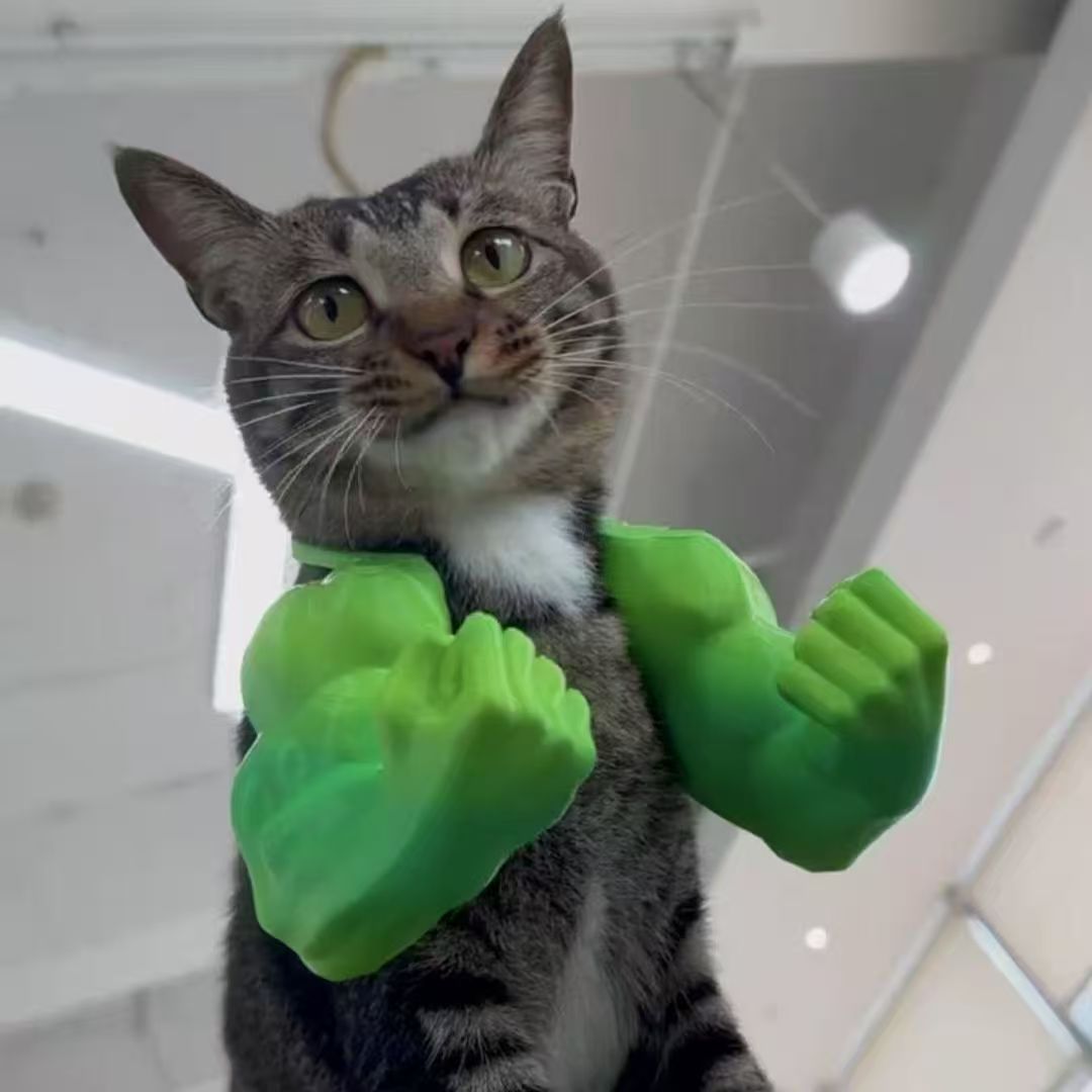 Pet toy cat arm 3D printing hot style funny and weird neck hanging